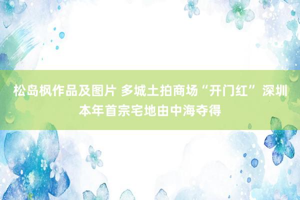 松岛枫作品及图片 多城土拍商场“开门红” 深圳本年首宗宅地由中海夺得