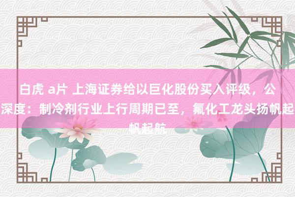 白虎 a片 上海证券给以巨化股份买入评级，公司深度：制冷剂行业上行周期已至，氟化工龙头扬帆起航