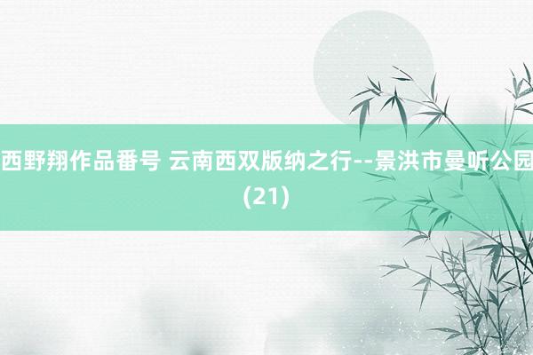 西野翔作品番号 云南西双版纳之行--景洪市曼听公园(21)