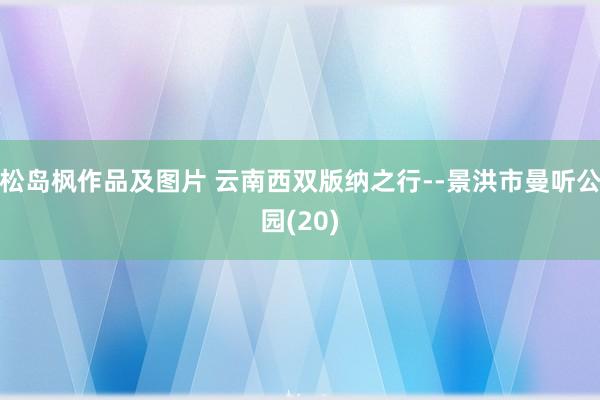 松岛枫作品及图片 云南西双版纳之行--景洪市曼听公园(20)