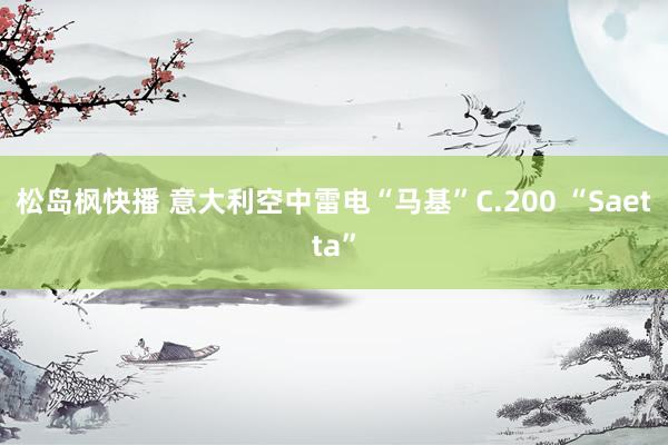 松岛枫快播 意大利空中雷电“马基”C.200 “Saetta”