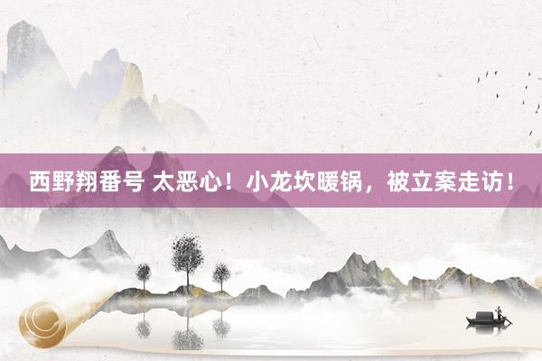 西野翔番号 太恶心！小龙坎暖锅，被立案走访！