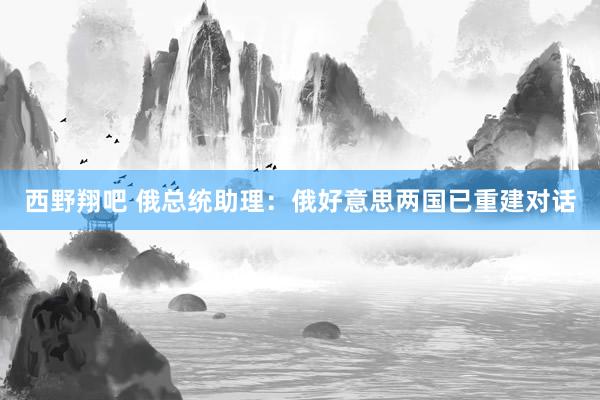 西野翔吧 俄总统助理：俄好意思两国已重建对话