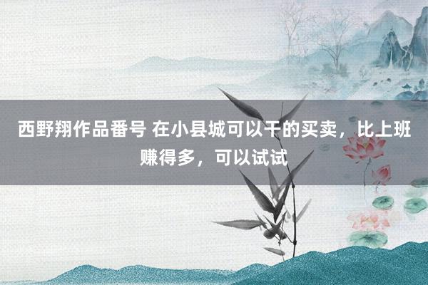 西野翔作品番号 在小县城可以干的买卖，比上班赚得多，可以试试