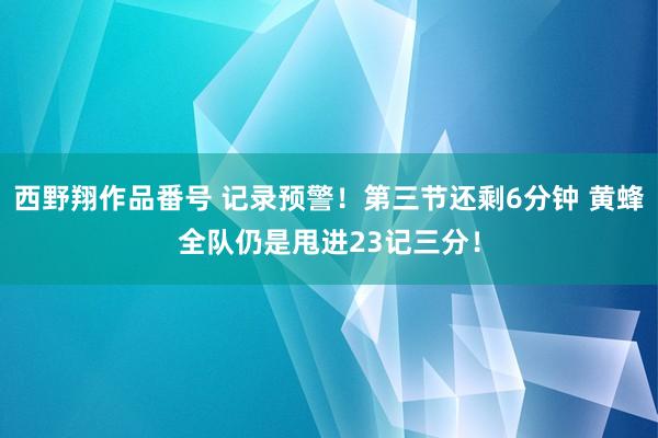 西野翔作品番号 记录预警！第三节还剩6分钟 黄蜂全队仍是甩进23记三分！