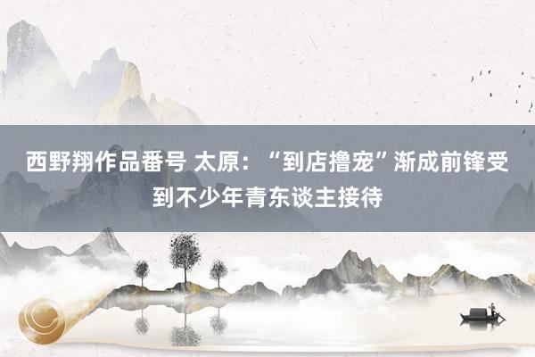 西野翔作品番号 太原：“到店撸宠”渐成前锋受到不少年青东谈主接待