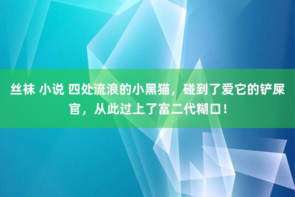 丝袜 小说 四处流浪的小黑猫，碰到了爱它的铲屎官，从此过上了富二代糊口！