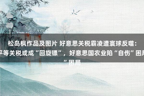 松岛枫作品及图片 好意思关税霸凌遭寰球反噬：平等关税或成“回旋镖”，好意思国农业陷“自伤”困局