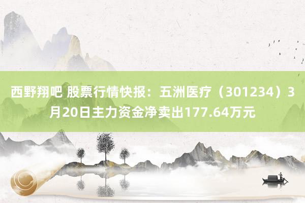 西野翔吧 股票行情快报：五洲医疗（301234）3月20日主力资金净卖出177.64万元