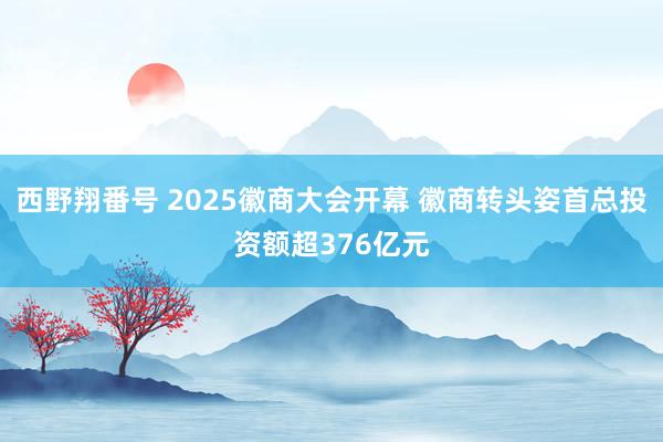 西野翔番号 2025徽商大会开幕 徽商转头姿首总投资额超376亿元