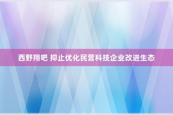 西野翔吧 抑止优化民营科技企业改进生态