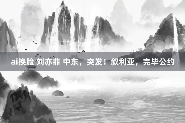 ai换脸 刘亦菲 中东，突发！叙利亚，完毕公约