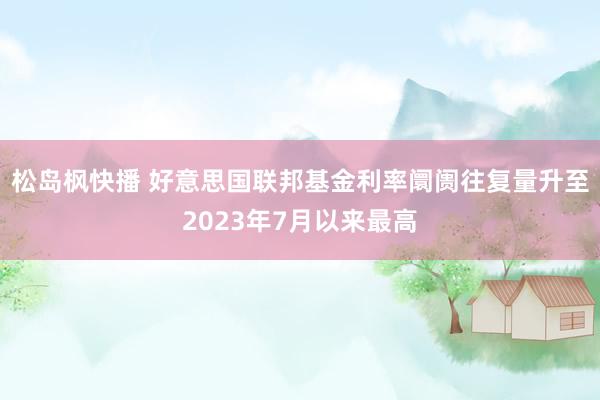 松岛枫快播 好意思国联邦基金利率阛阓往复量升至2023年7月以来最高