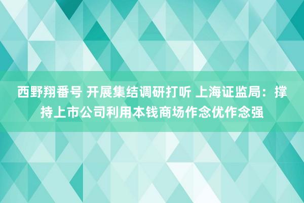 西野翔番号 开展集结调研打听 上海证监局：撑持上市公司利用本钱商场作念优作念强