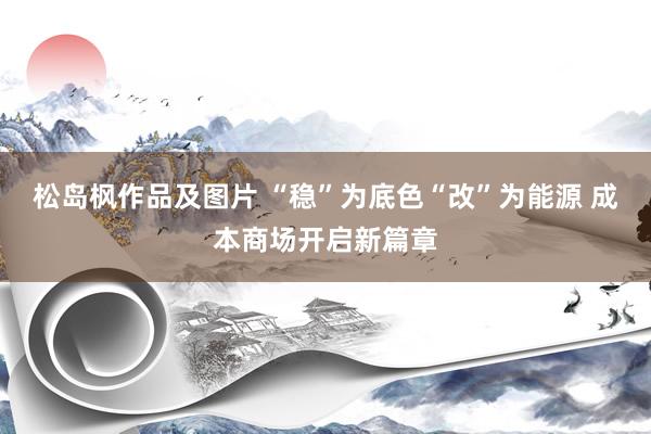 松岛枫作品及图片 “稳”为底色“改”为能源 成本商场开启新篇章