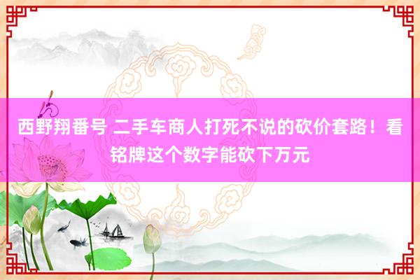 西野翔番号 二手车商人打死不说的砍价套路！看铭牌这个数字能砍下万元