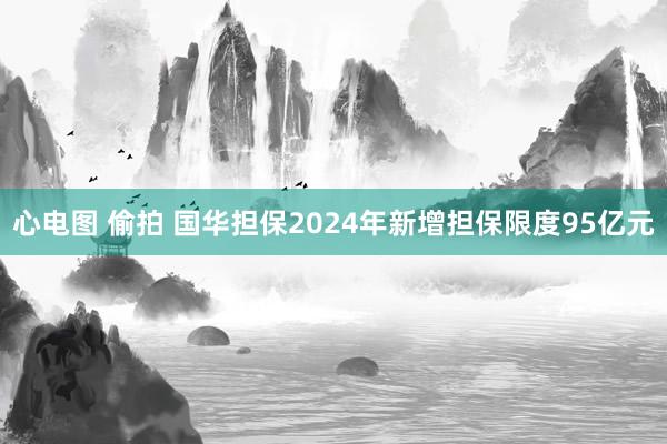 心电图 偷拍 国华担保2024年新增担保限度95亿元