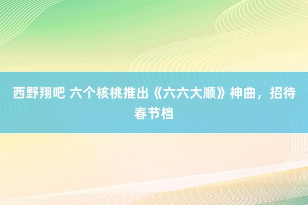 西野翔吧 六个核桃推出《六六大顺》神曲，招待春节档