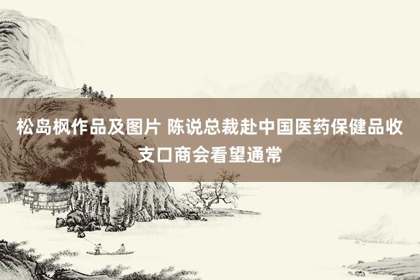 松岛枫作品及图片 陈说总裁赴中国医药保健品收支口商会看望通常