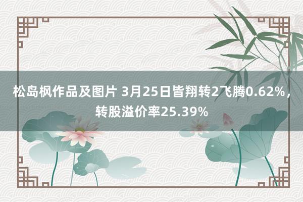 松岛枫作品及图片 3月25日皆翔转2飞腾0.62%，转股溢价率25.39%