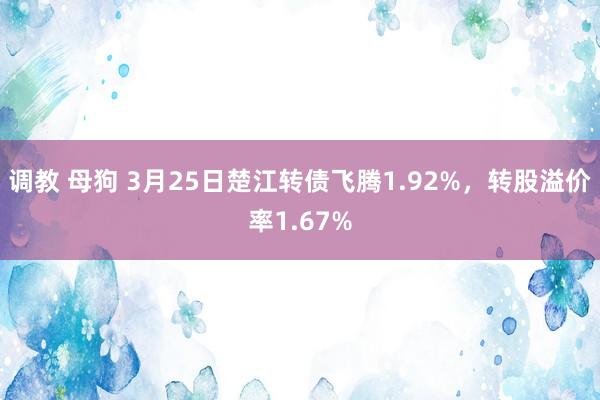 调教 母狗 3月25日楚江转债飞腾1.92%，转股溢价率1.67%