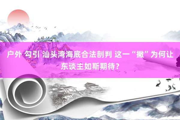 户外 勾引 汕头湾海底合法剖判 这一“撇”为何让东谈主如斯期待？