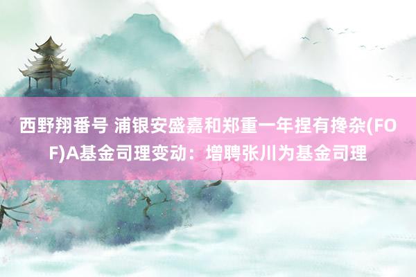 西野翔番号 浦银安盛嘉和郑重一年捏有搀杂(FOF)A基金司理变动：增聘张川为基金司理