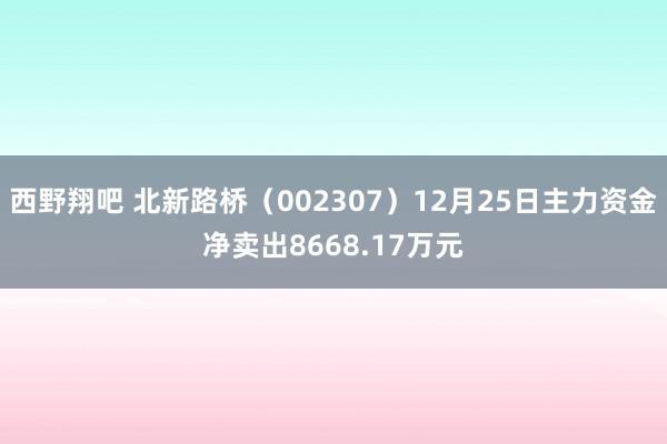 西野翔吧 北新路桥（002307）12月25日主力资金净卖出8668.17万元