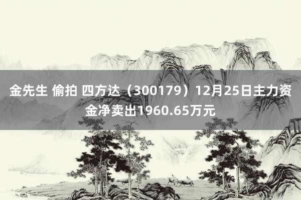 金先生 偷拍 四方达（300179）12月25日主力资金净卖出1960.65万元
