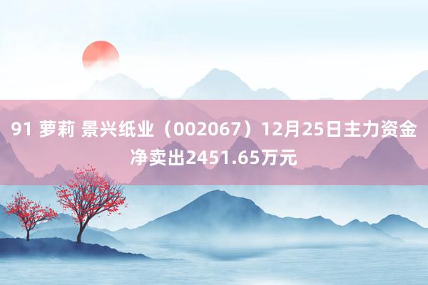 91 萝莉 景兴纸业（002067）12月25日主力资金净卖出2451.65万元