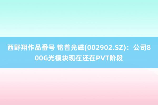 西野翔作品番号 铭普光磁(002902.SZ)：公司800G光模块现在还在PVT阶段