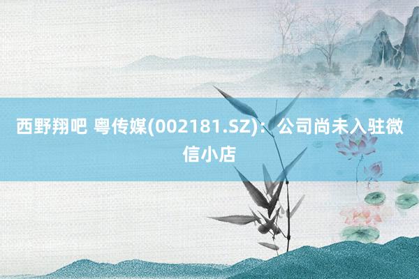 西野翔吧 粤传媒(002181.SZ)：公司尚未入驻微信小店
