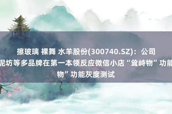 擦玻璃 裸舞 水羊股份(300740.SZ)：公司EDB、御泥坊等多品牌在第一本领反应微信小店“耸峙物”功能灰度测试