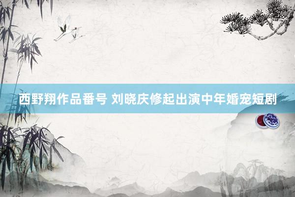 西野翔作品番号 刘晓庆修起出演中年婚宠短剧