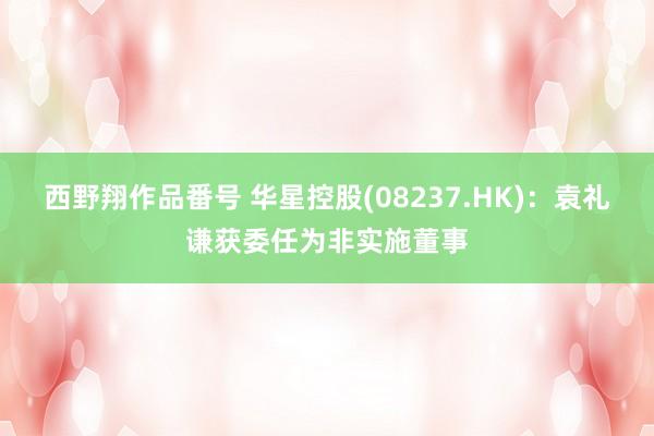 西野翔作品番号 华星控股(08237.HK)：袁礼谦获委任为非实施董事