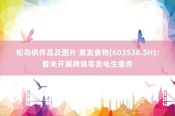 松岛枫作品及图片 惠发食物(603536.SH)：暂未开展跨境零卖电生意务