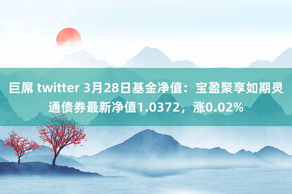 巨屌 twitter 3月28日基金净值：宝盈聚享如期灵通债券最新净值1.0372，涨0.02%