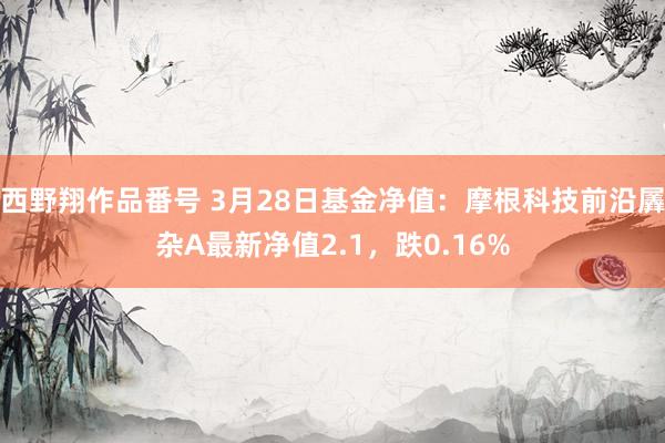 西野翔作品番号 3月28日基金净值：摩根科技前沿羼杂A最新净值2.1，跌0.16%