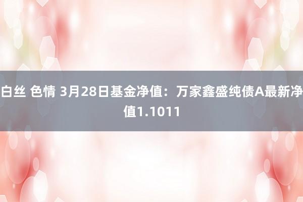 白丝 色情 3月28日基金净值：万家鑫盛纯债A最新净值1.1011