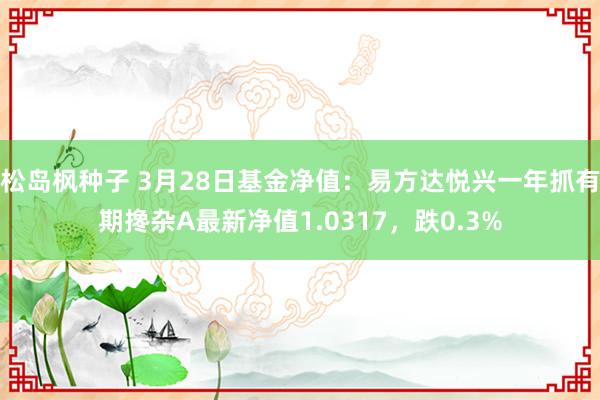 松岛枫种子 3月28日基金净值：易方达悦兴一年抓有期搀杂A最新净值1.0317，跌0.3%