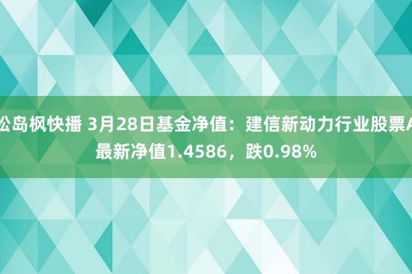 松岛枫快播 3月28日基金净值：建信新动力行业股票A最新净值1.4586，跌0.98%