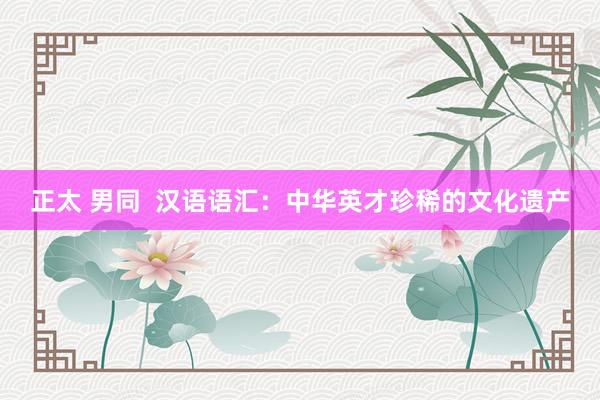 正太 男同  汉语语汇：中华英才珍稀的文化遗产