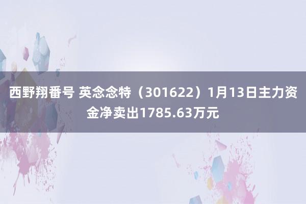 西野翔番号 英念念特（301622）1月13日主力资金净卖出1785.63万元