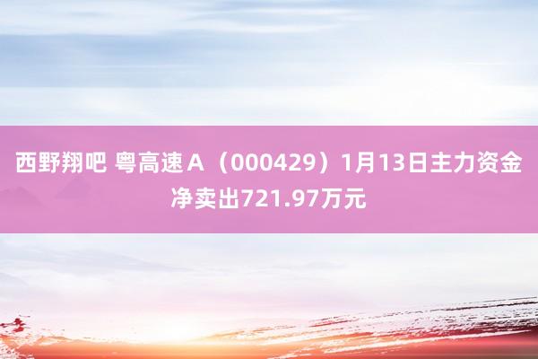 西野翔吧 粤高速Ａ（000429）1月13日主力资金净卖出721.97万元