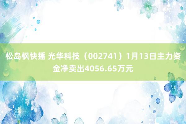 松岛枫快播 光华科技（002741）1月13日主力资金净卖出4056.65万元
