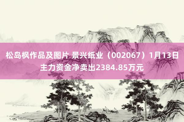 松岛枫作品及图片 景兴纸业（002067）1月13日主力资金净卖出2384.85万元