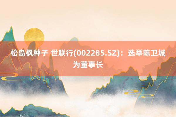 松岛枫种子 世联行(002285.SZ)：选举陈卫城为董事长