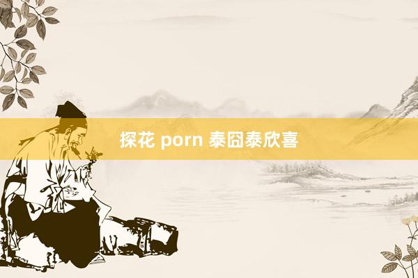 探花 porn 泰囧泰欣喜