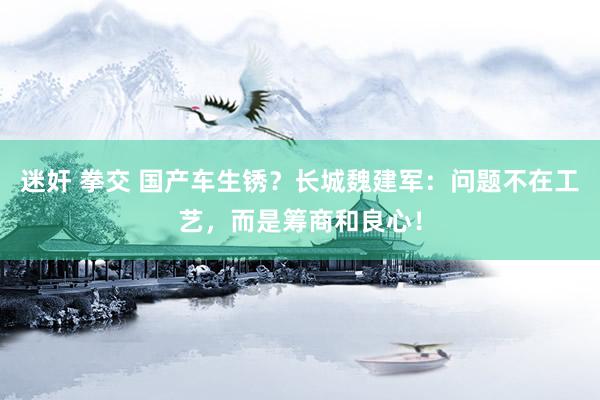 迷奸 拳交 国产车生锈？长城魏建军：问题不在工艺，而是筹商和良心！