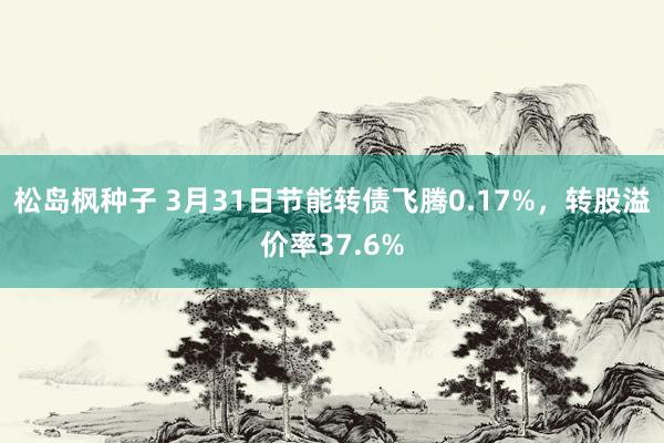 松岛枫种子 3月31日节能转债飞腾0.17%，转股溢价率37.6%